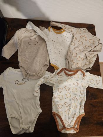 Lot de 5 bodies manches longues 