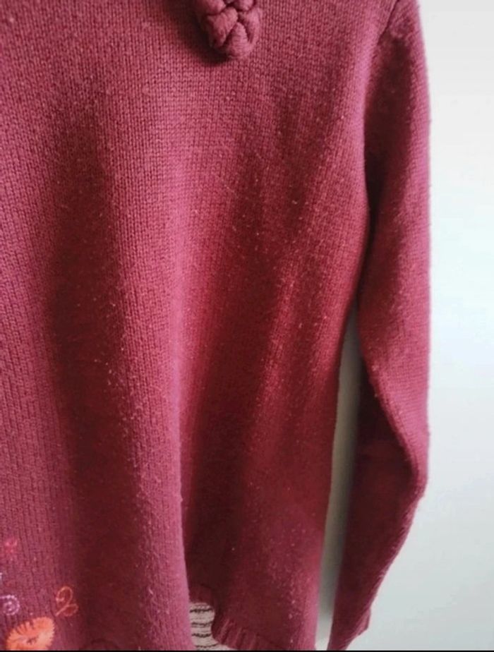 Pull 10 ans Orchestra - photo numéro 8