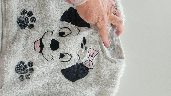 Pull dalmatien - photo numéro 2