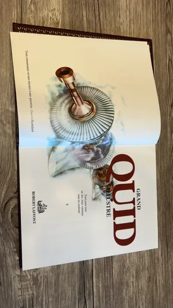 Grand quid illustré - 8