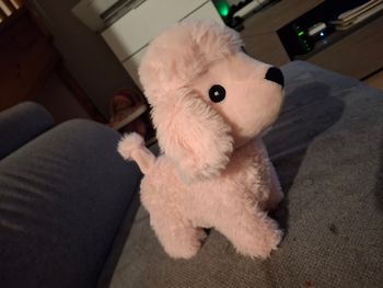 Chien qui avance et aboie