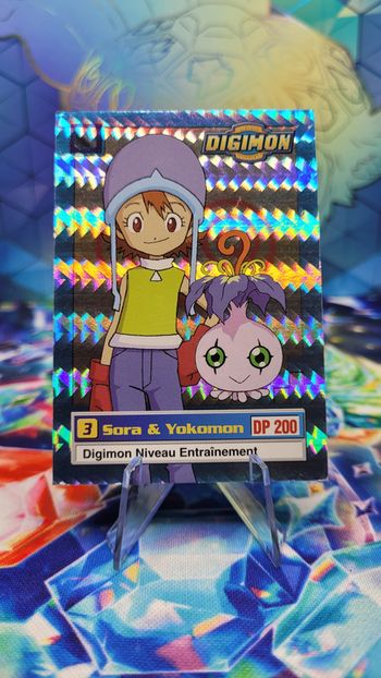 Carte Digimon Sora & Yokomon (FOIL) 6/34 Édition Série TV 1999