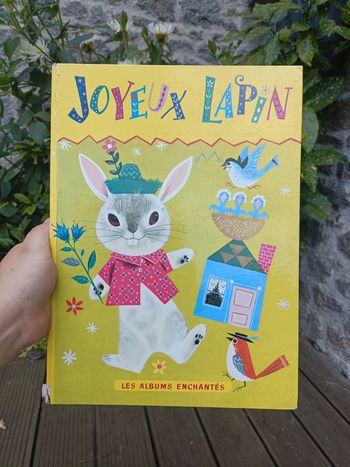 Album livre joyeux lapin