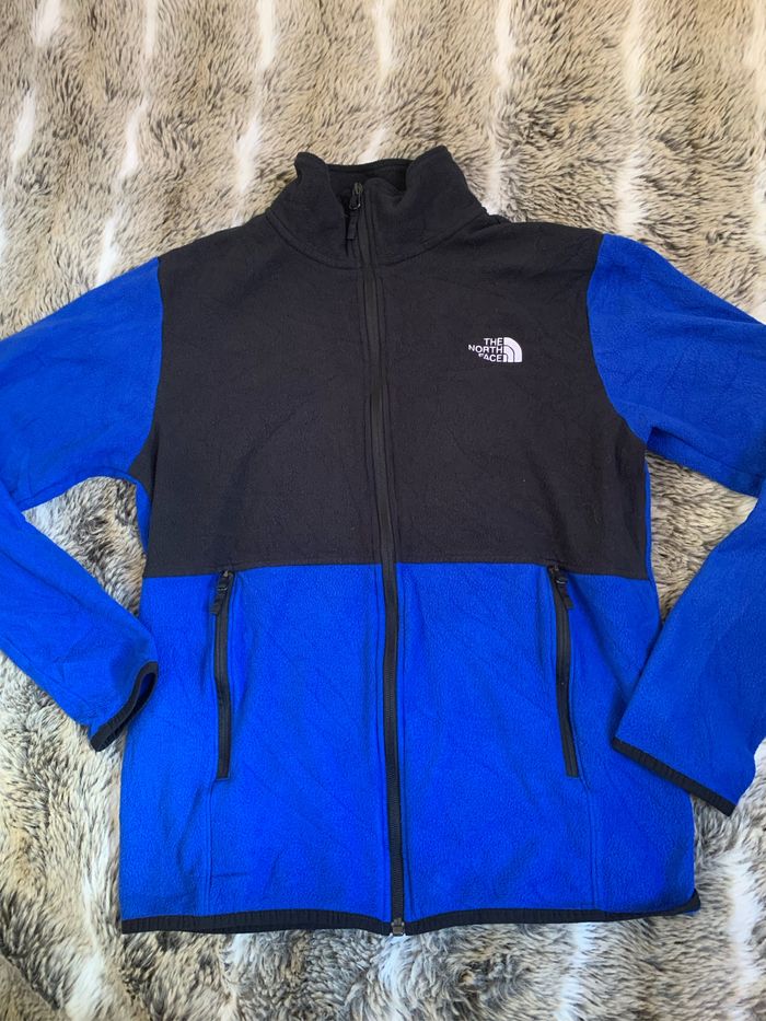 Polaire the north face