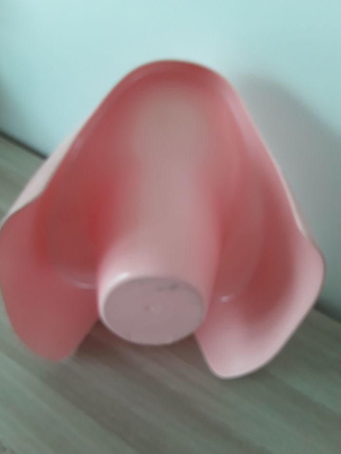 Pot pour enfant - photo numéro 4