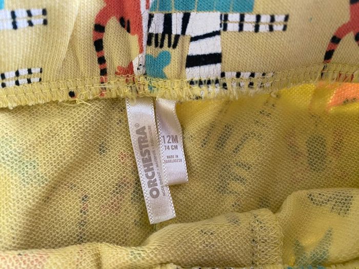 Short jungle - photo numéro 2