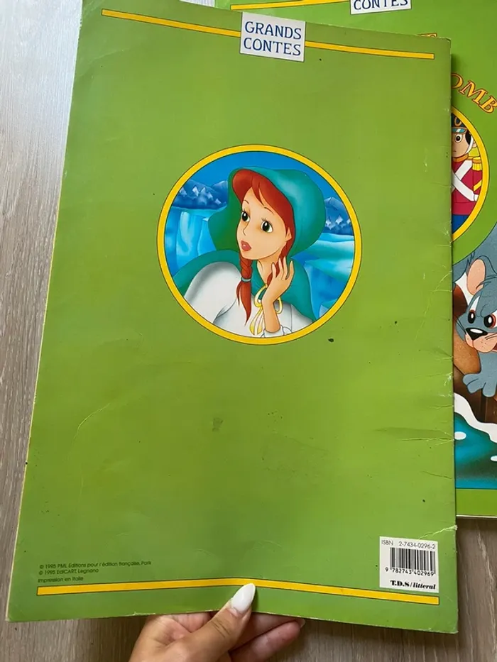 Grand conte livre la reine des neiges - photo numéro 2