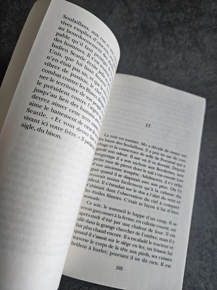 Livre roman récit contemporain "Mohican" de Eric Fottorino - photo numéro 5