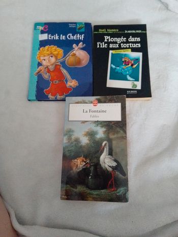 Lot de 3 livres pour enfants