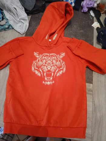 Pull tigre