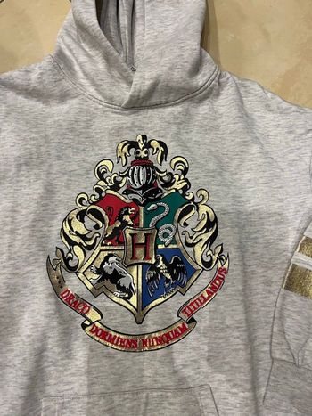 Sweat à capuche gris Harry Potter 
