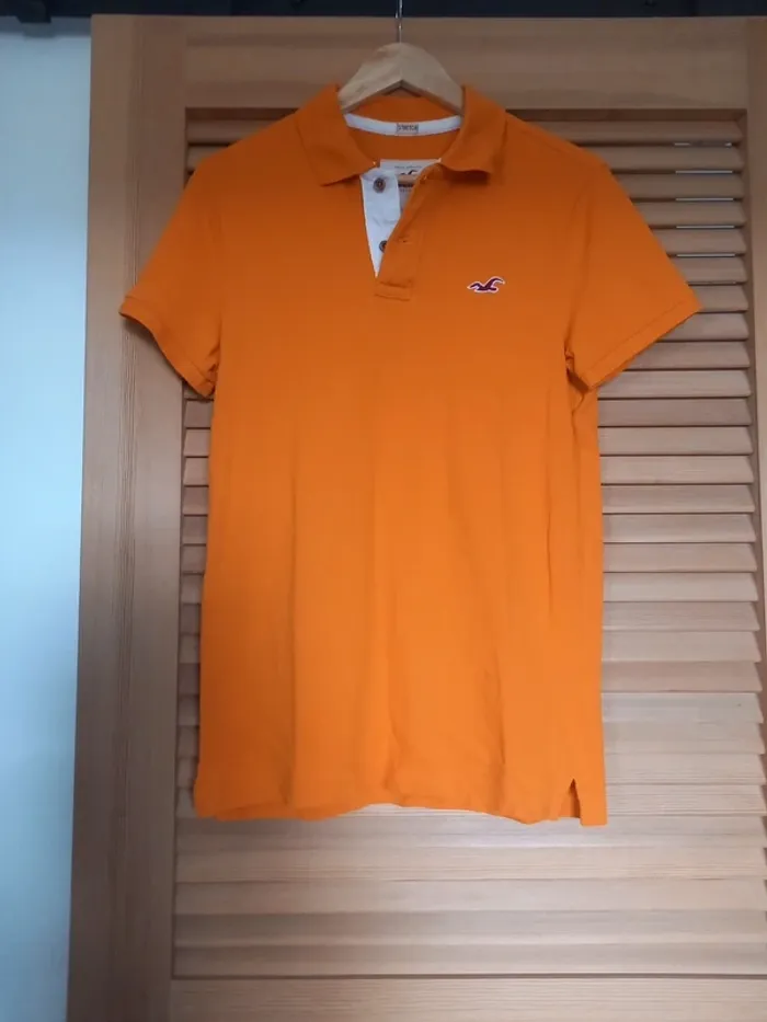 Polo Hollister