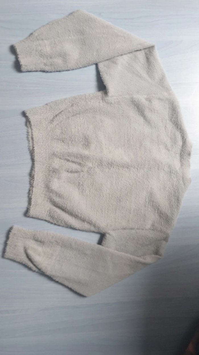 Pull ou gilet - photo numéro 2