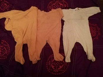 Grenouillères été