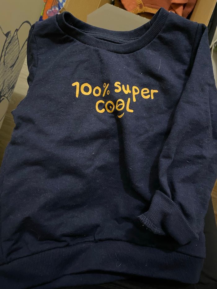 Tee shirt manche longue et pull 24 mois - photo numéro 2