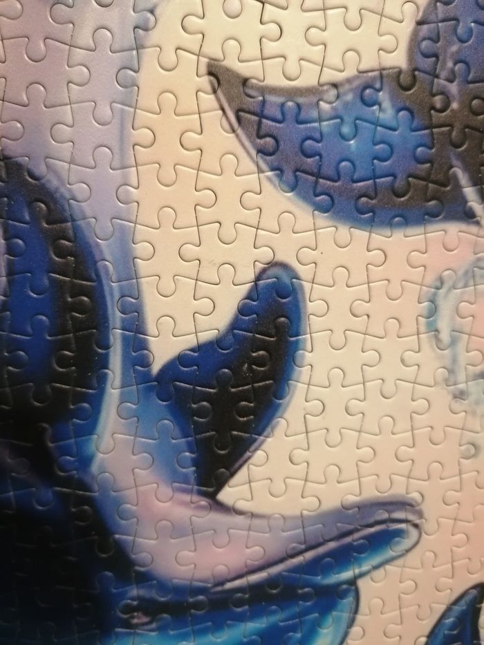 Puzzle 1000 pieces - photo numéro 7