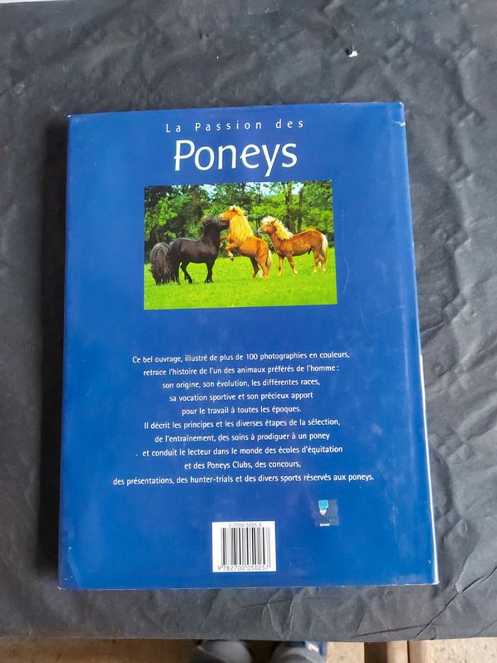 La passion des Poneys - photo numéro 2