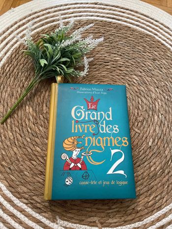 Le Grand Livre des Énigmes 2