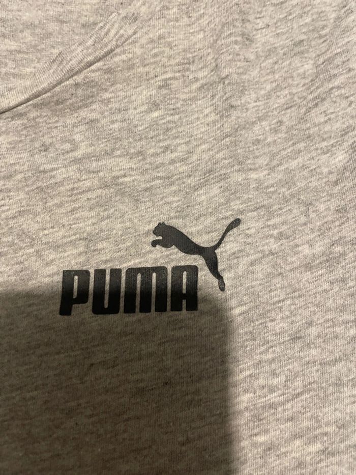 T shirt cintré gris - photo numéro 3