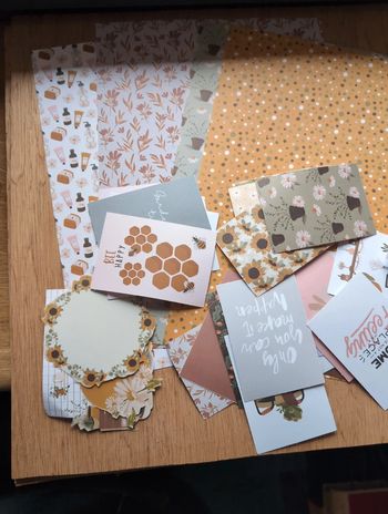 Lot feuilles et découpes assorties