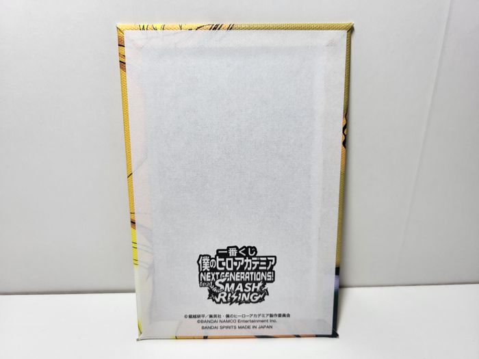 Canvas My Hero Academia Next Generation Feat Smash rising Mirio - photo numéro 2