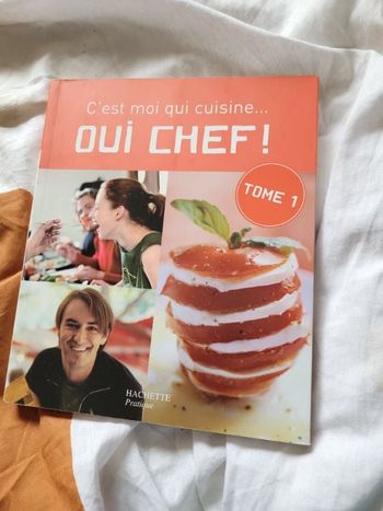 C est moi qui cuisine oui chef tome 1