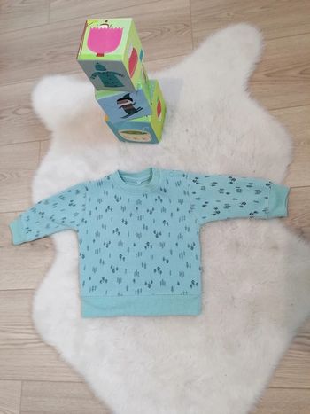 Sweat garçon 12 mois - 74 cm#espanolitinagarcon12mois