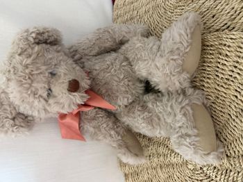 vintage Russ Bear « Alanna » l'ours
