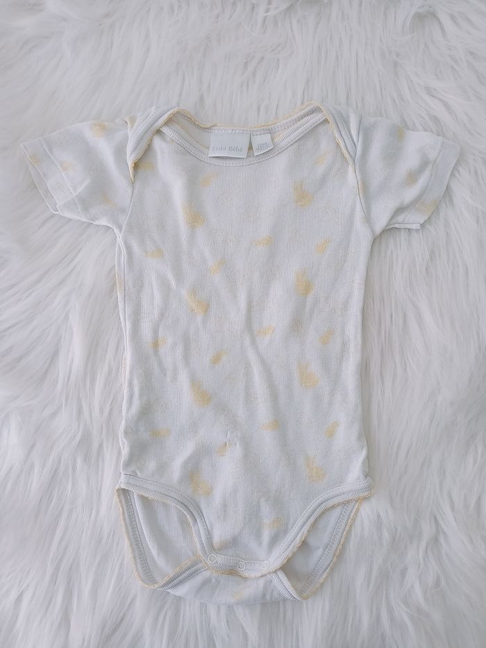 Lot de 3 body manches courtes 12 mois-74cm - photo numéro 3