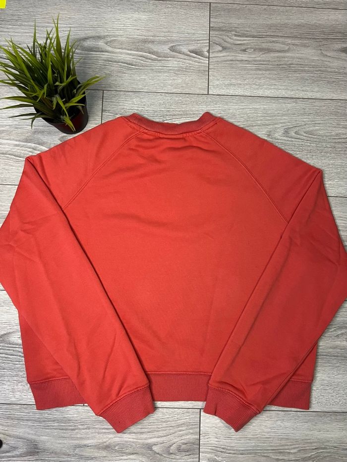 Sweat Lacoste XS (165cm) - Homme / Femme - photo numéro 7