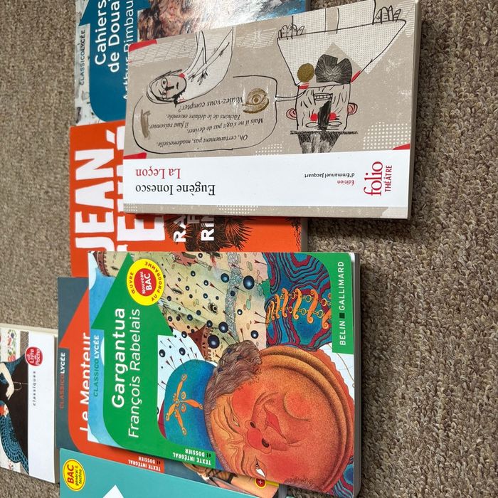 Lots de 7 livres pour le bac de français - photo numéro 6