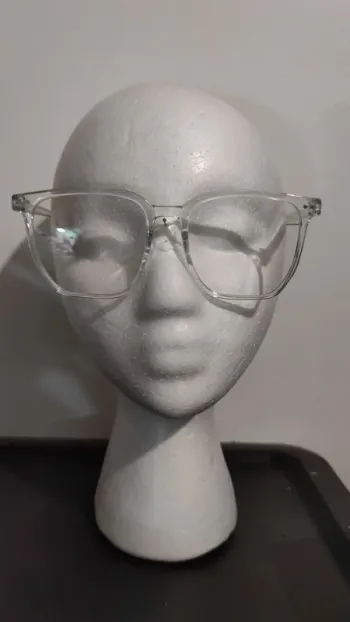 lunettes fantaisies en plastique