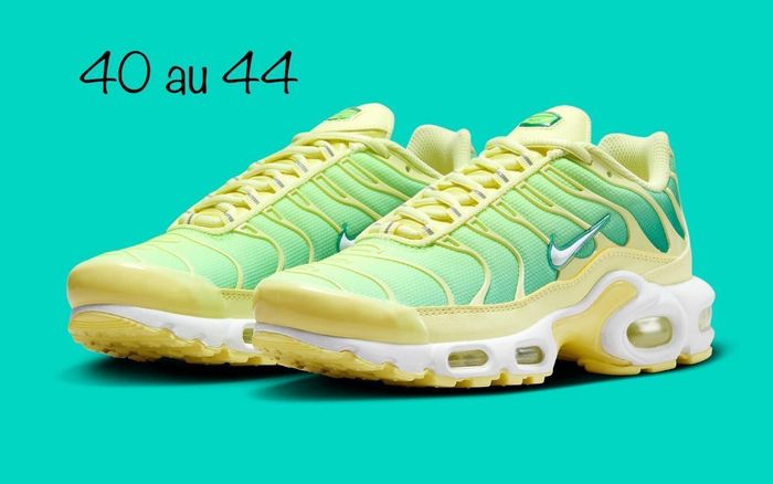 Tn plusieurs modèles disponibles - photo numéro 6