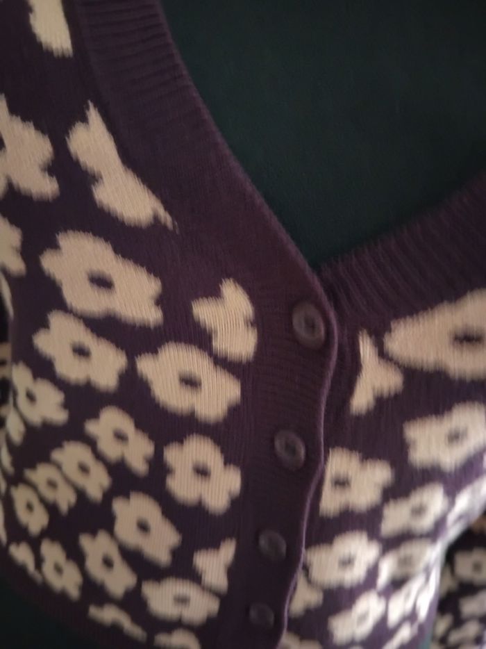 Gilet terranova - photo numéro 3