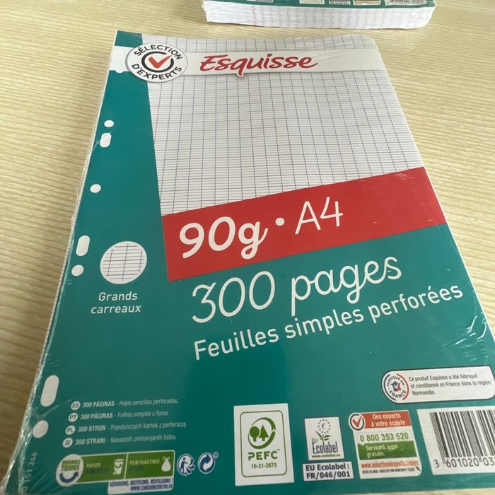 Feuilles simples perforées grand carreaux