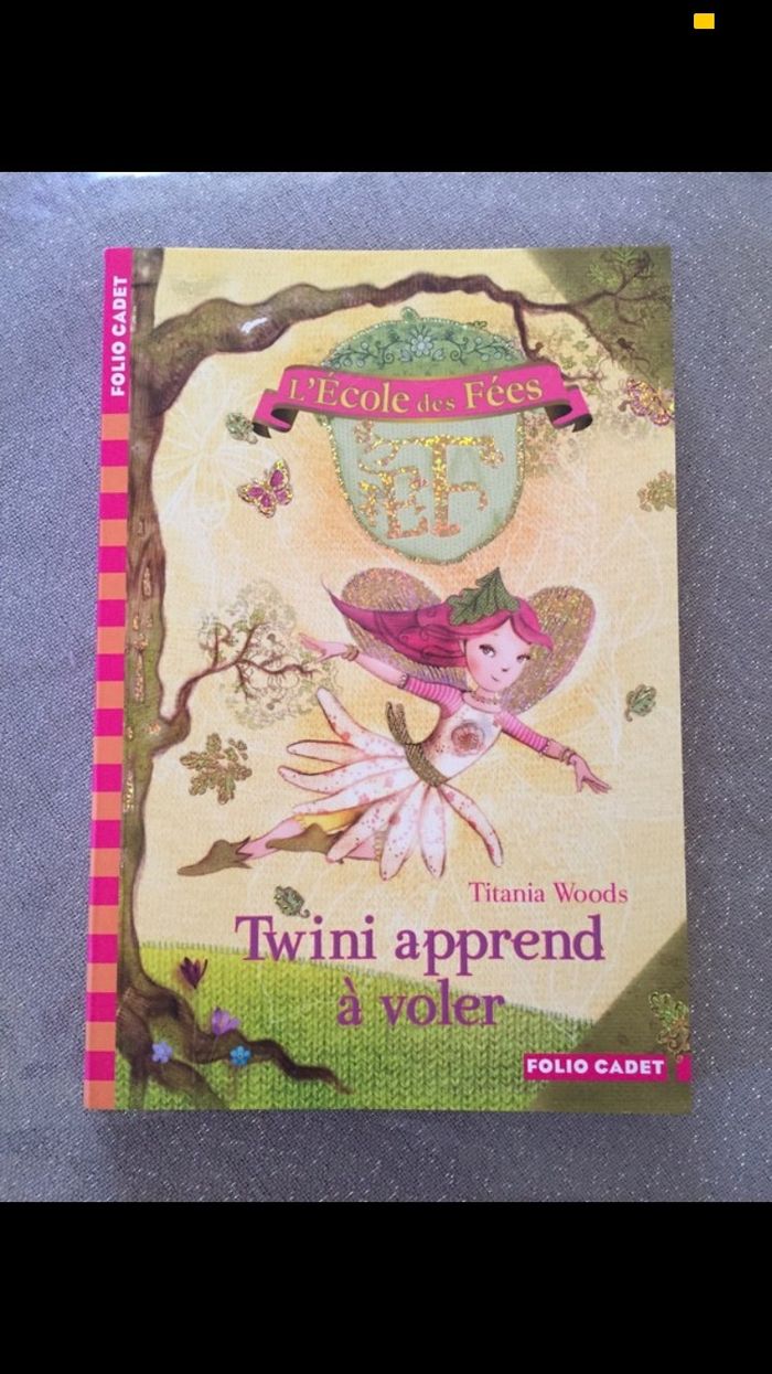 Livre L’école des fées
