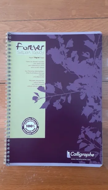 cahier neuf avec petits carreaux