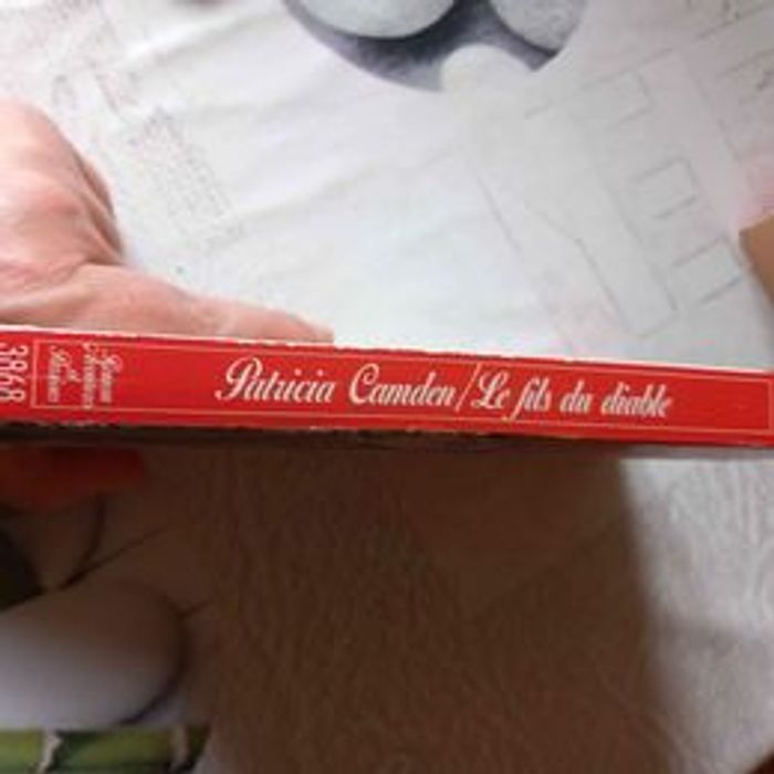 Le fils du diable de Patricia Camden - photo numéro 2