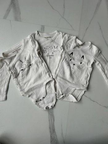 Lot body