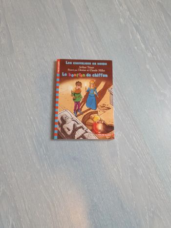 Le bouffon de chiffon