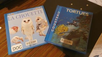 Lot de 2 livres documentaires sur la tortue et la chouette