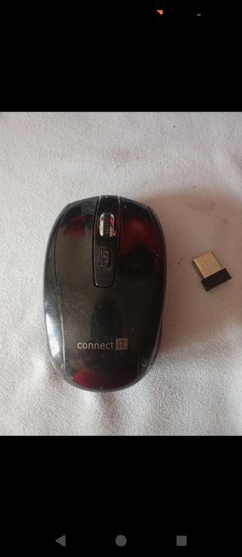 Souris sans fil