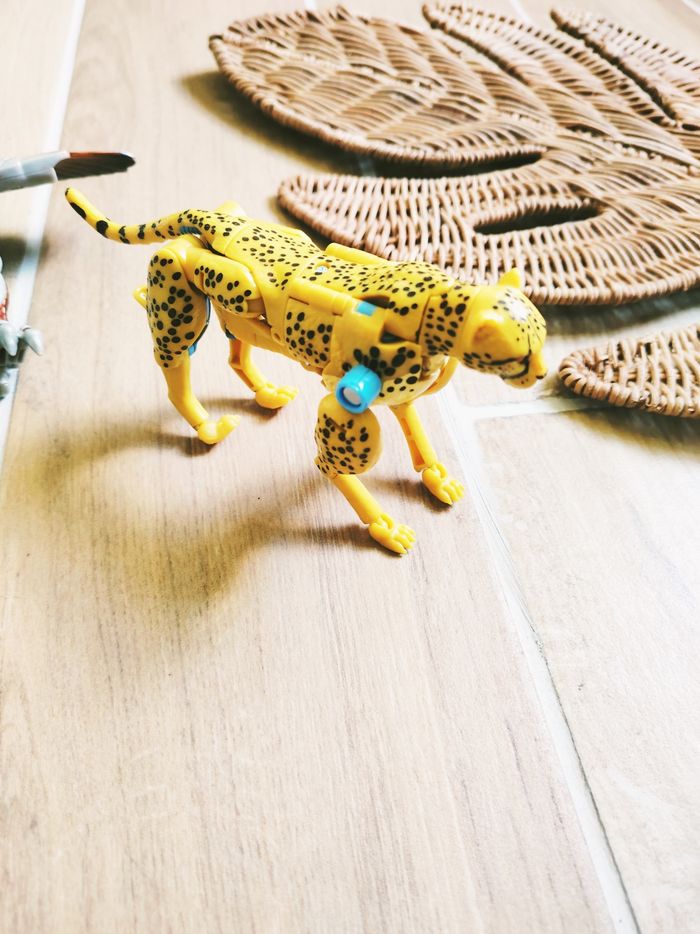 đ Robots transformers beast wars GuĂ©pard et aigle kingdom war for cybertron - photo numĂ©ro 5