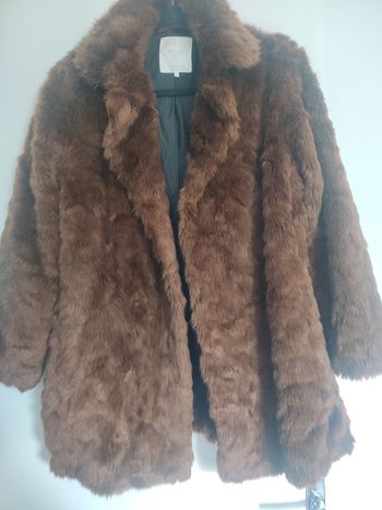 Manteau fourrure Zara