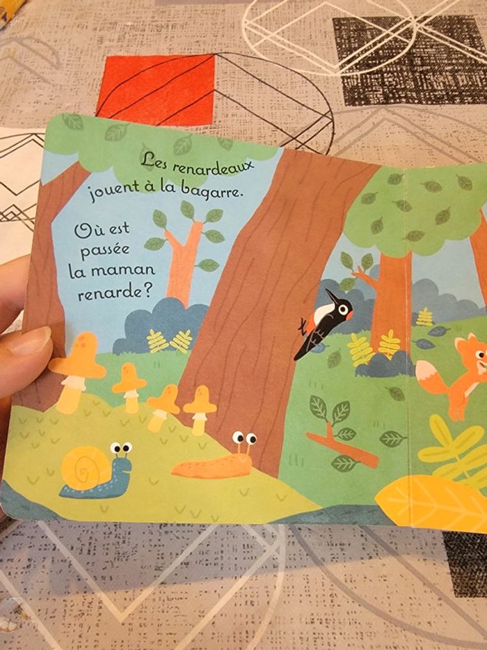 Balade en forêt - photo numéro 9
