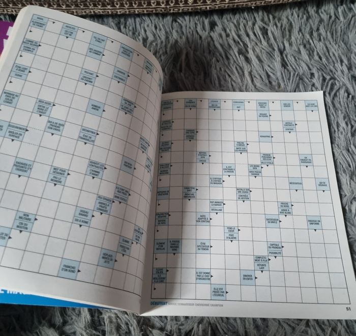 Livre de jeu fléchés (débutant) niveau 1 (83grilles) - photo numéro 2