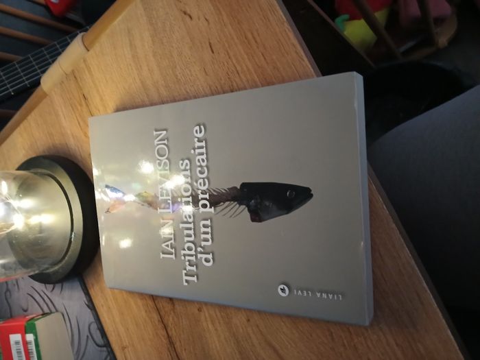 LIVRE LA TRIBULATIOND UN PRECAIRE DE IAN LEVION