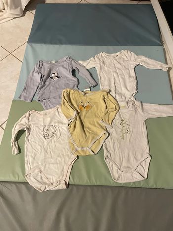 Lot de 5 bodies 9 mois