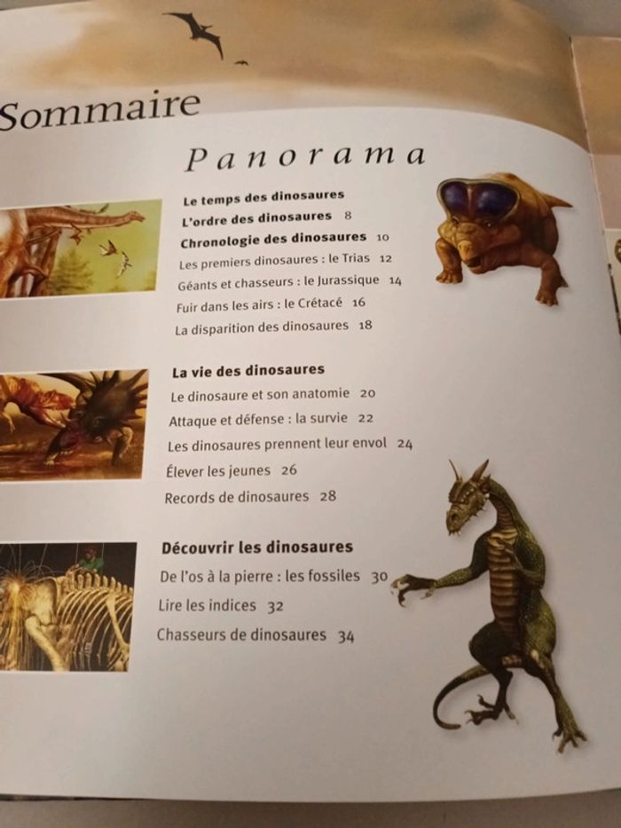 Les dinosaures à la loupe édition France loisirs - photo numéro 4