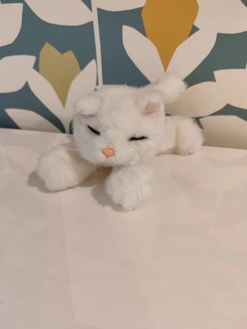 Peluche doudou chat gipsy